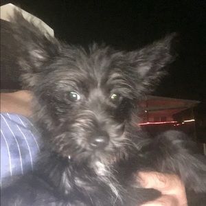 Meet your Posher, Edna